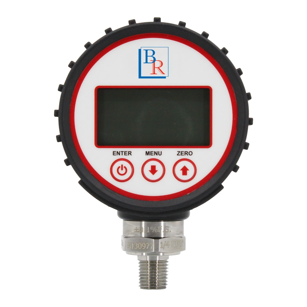 Model BRDG Digital Pressure Gauge