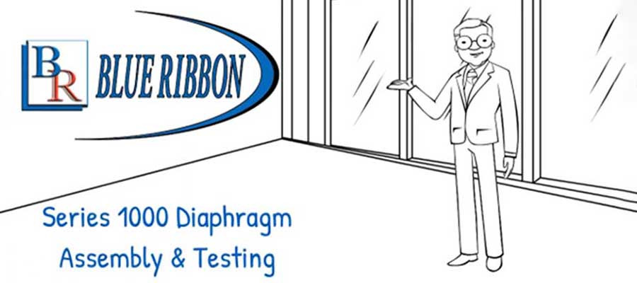 Blue Ribbon Series 1000 Diaphragm Seal Assembly & Testing